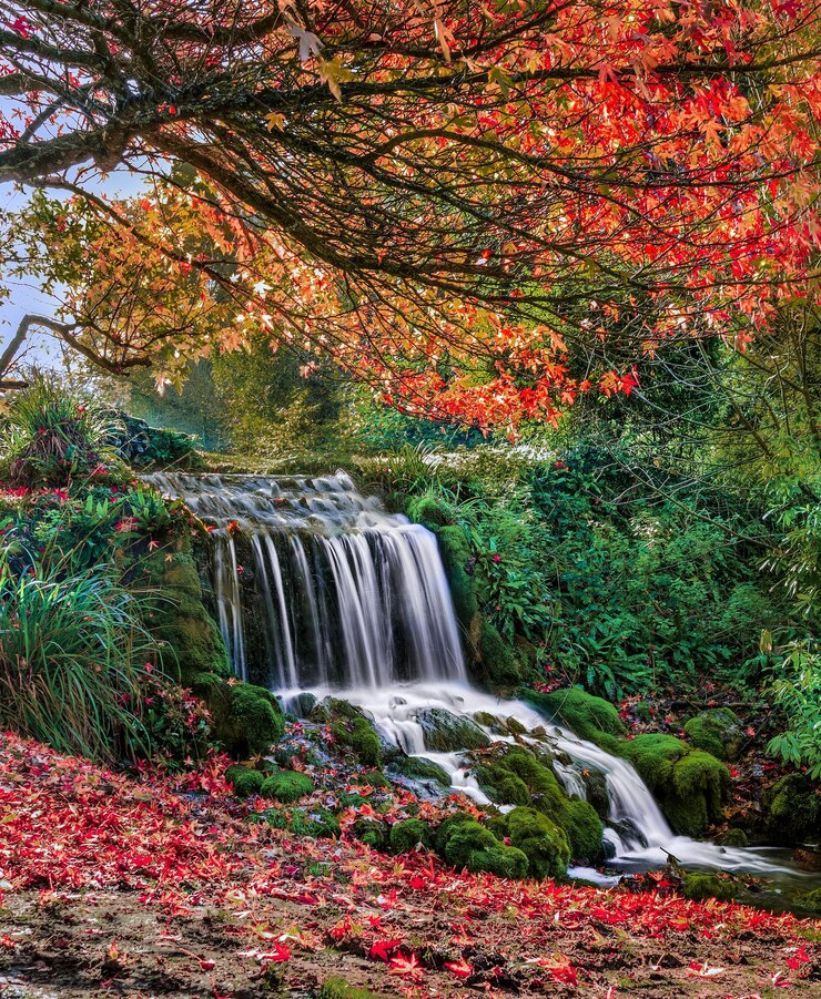 Foto schilderachtig uitzicht op de waterval in de herfst
