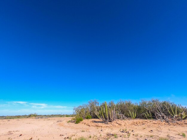 Schilderachtig uitzicht op de woestijn tegen een heldere blauwe hemel