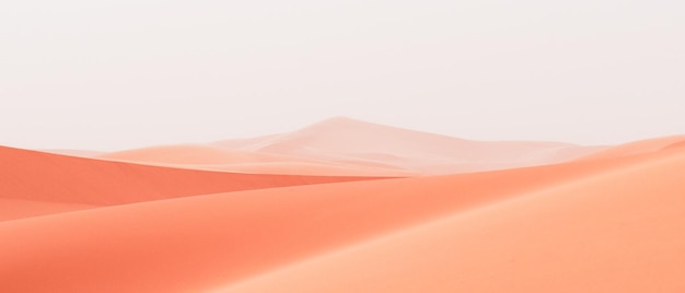 Schilderachtig uitzicht op de woestijn tegen een heldere lucht