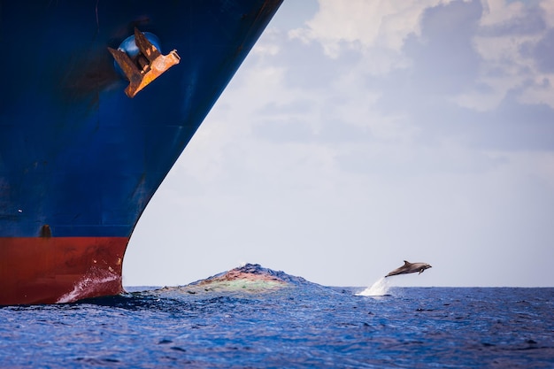 Foto schilderachtig uitzicht op de zee tegen de lucht