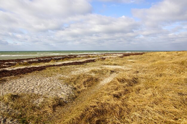 Foto schilderachtig uitzicht op de zee tegen de lucht