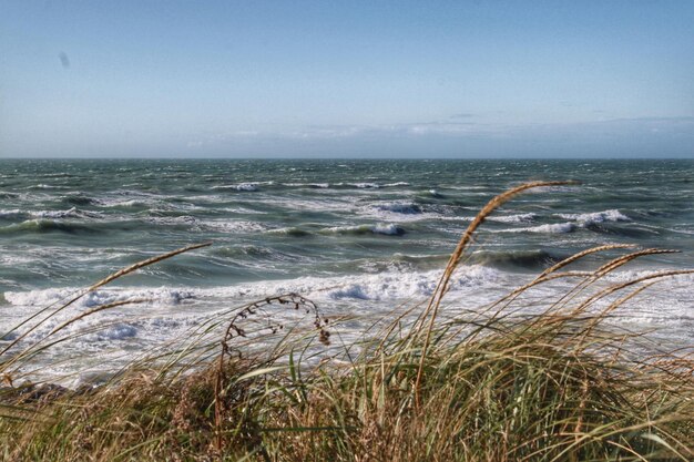 Schilderachtig uitzicht op de zee tegen de lucht