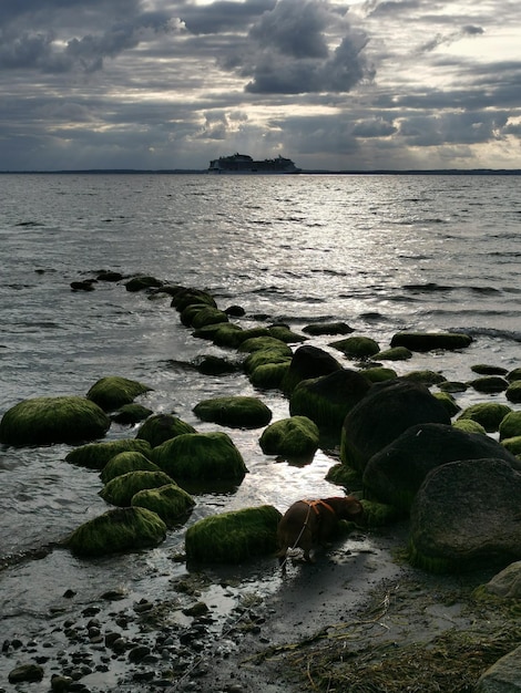 Foto schilderachtig uitzicht op de zee tegen de lucht