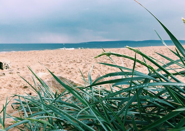 Foto schilderachtig uitzicht op de zee tegen de lucht