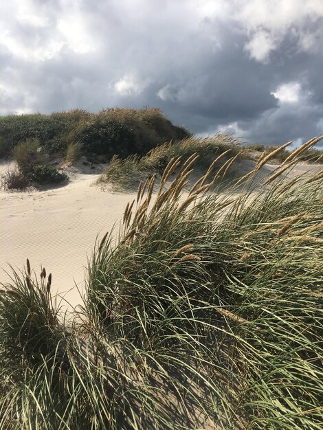 Foto schilderachtig uitzicht op de zee tegen de lucht