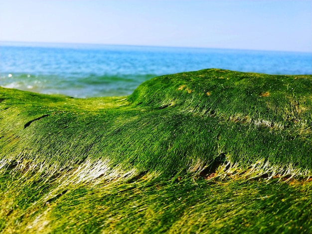 Foto schilderachtig uitzicht op de zee tegen de lucht