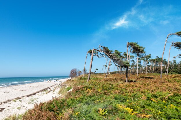 Foto schilderachtig uitzicht op de zee tegen een blauwe hemel