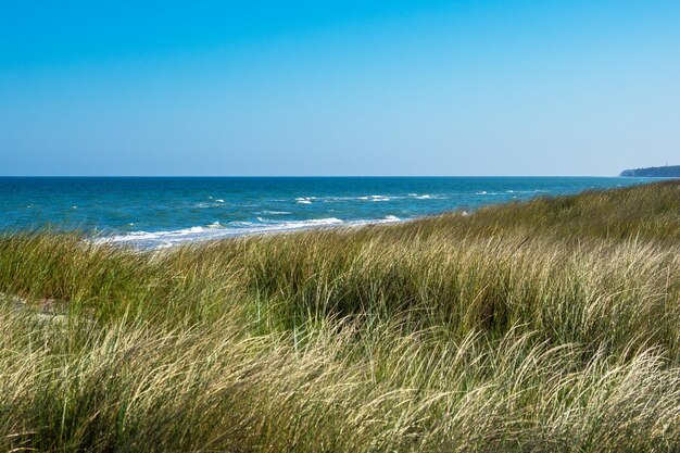 Foto schilderachtig uitzicht op de zee tegen een heldere blauwe lucht