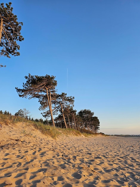 Schilderachtig uitzicht op de zee tegen een heldere blauwe lucht