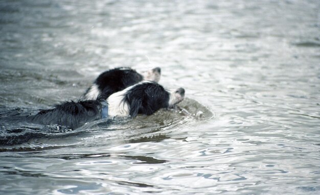 Foto schilderachtig uitzicht op de zee