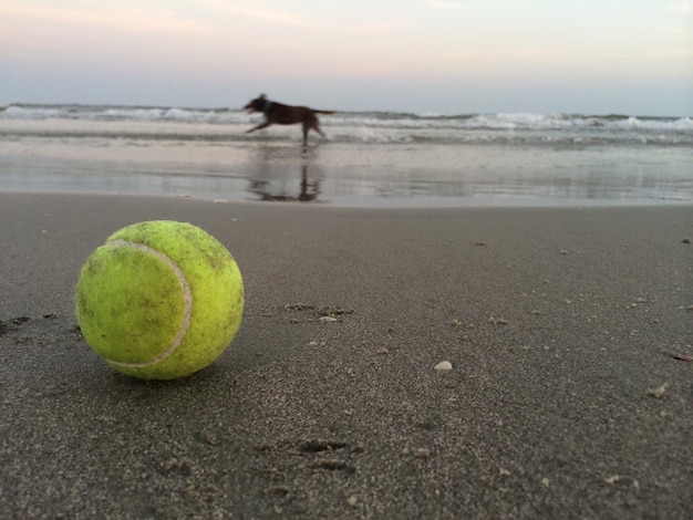 Schilderachtig uitzicht op een bal op het strand tegen de lucht