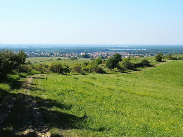 Foto schilderachtig uitzicht op een graslandschap tegen een heldere lucht