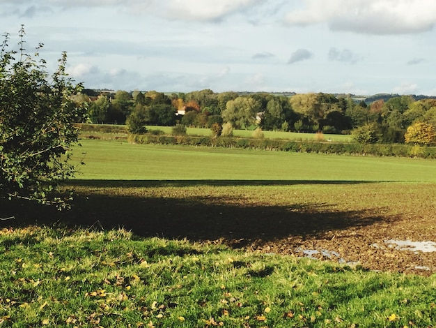 Foto schilderachtig uitzicht op een grasveld tegen een bewolkte hemel