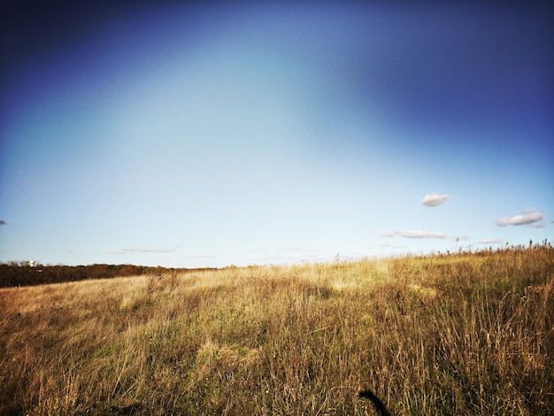 Foto schilderachtig uitzicht op een grasveld tegen een bewolkte hemel