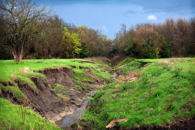 Foto schilderachtig uitzicht op een grasveld tegen een bewolkte hemel