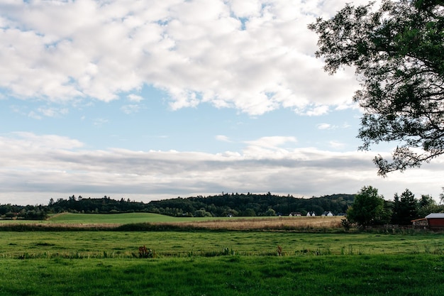 Schilderachtig uitzicht op een groen landelijk veld tegen een bewolkte lucht