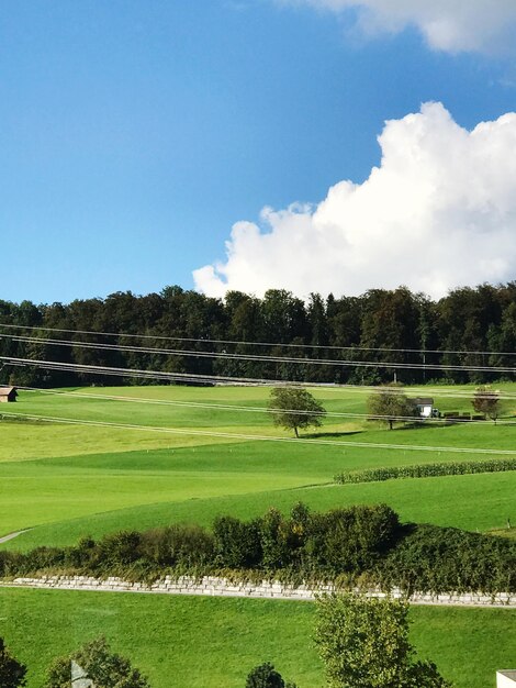 Foto schilderachtig uitzicht op een groen landschap tegen een blauwe hemel