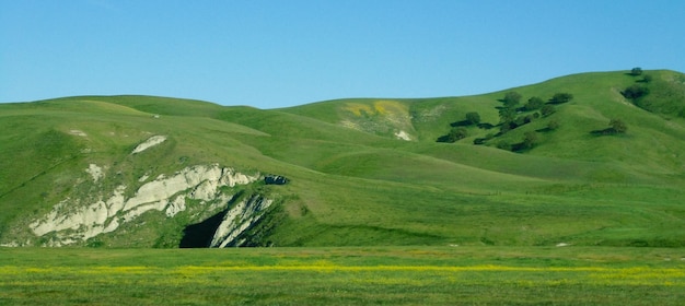 Schilderachtig uitzicht op een groen landschap tegen een heldere blauwe lucht