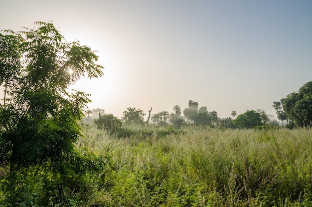 Schilderachtig uitzicht op een groen landschap tegen een heldere lucht