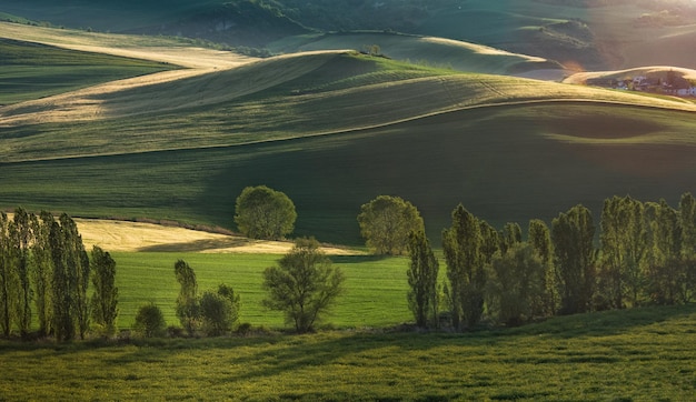Schilderachtig uitzicht op een groen landschap