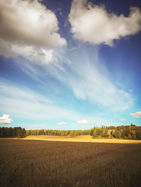 Foto schilderachtig uitzicht op een landbouwveld tegen een bewolkte hemel