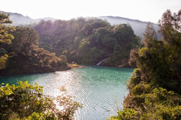 Foto schilderachtig uitzicht op een meer in het bos tegen de lucht