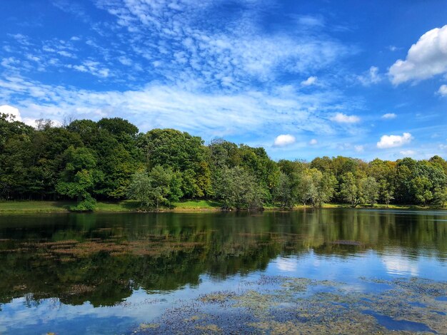 Schilderachtig uitzicht op een meer in het bos tegen de lucht