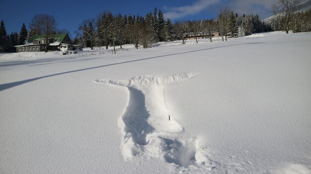 Foto schilderachtig uitzicht op een met sneeuw bedekt veld