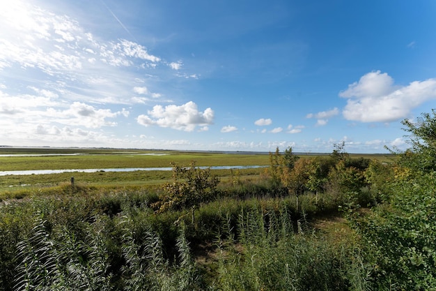 Schilderachtig uitzicht op een prachtig landschap met rivier en open velden in Lauwersoog Nederland