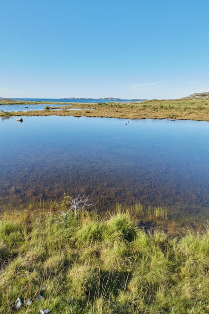 Schilderachtig uitzicht op een rivier die door een moeras stroomt en naar de oceaan in Noorwegen leidt Landschapsmening van blauwe kopieerruimtelucht en een moerasland Overloop van water dat een veld overstroomt na het regenseizoen