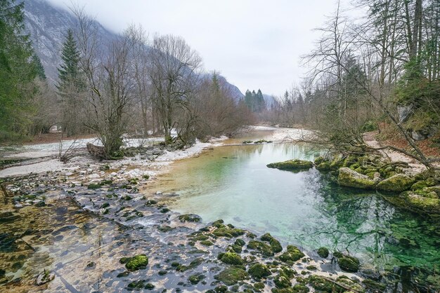 Foto schilderachtig uitzicht op een rivierstroom te midden van bomen in het bos tegen de lucht