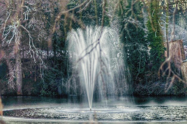 Foto schilderachtig uitzicht op een waterval in het bos