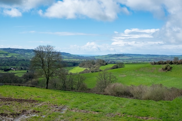 Schilderachtig uitzicht op het glooiende landschap van Somerset