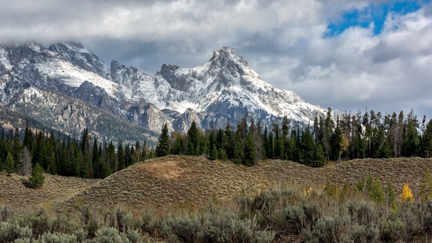 Schilderachtig uitzicht op het grand teton national park