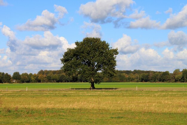 Foto schilderachtig uitzicht op het groene landschap tegen de lucht