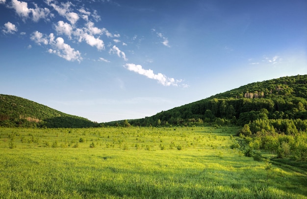 Schilderachtig uitzicht op het groene landschap tegen de lucht