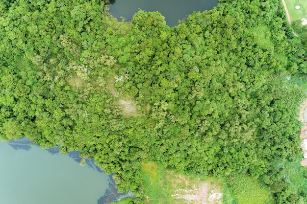 Schilderachtig uitzicht op het groene landschap tegen de lucht