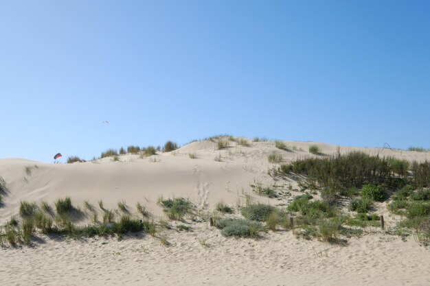 Schilderachtig uitzicht op het land tegen de helderblauwe lucht