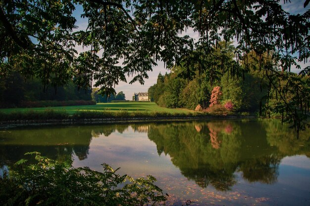 Foto schilderachtig uitzicht op het meer door bomen in het park