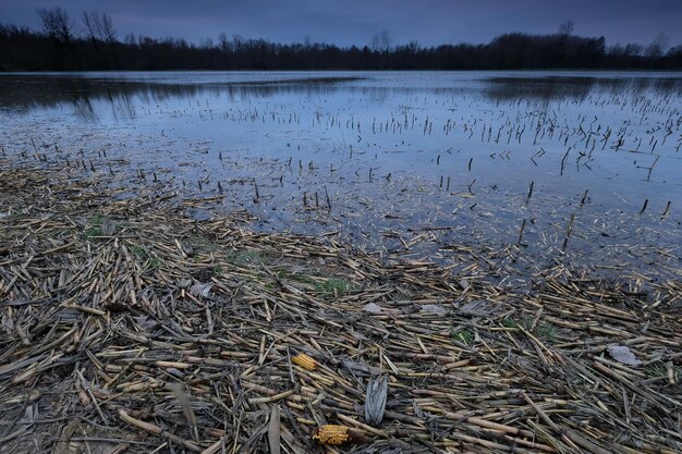 Schilderachtig uitzicht op het meer in het bos