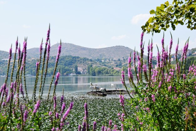 Foto schilderachtig uitzicht op het meer met bergen op de achtergrond