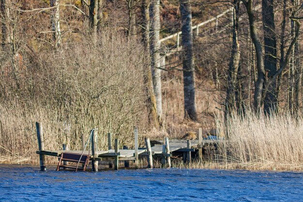 Foto schilderachtig uitzicht op het meer met bomen op de achtergrond