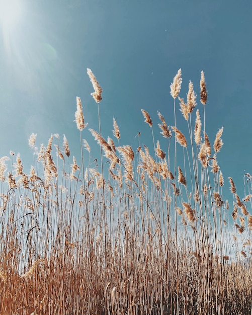 Schilderachtig uitzicht op het meer tegen de lucht