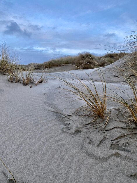 Foto schilderachtig uitzicht op het strand tegen de lucht