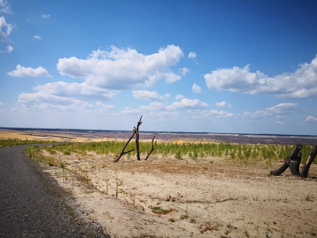 Foto schilderachtig uitzicht op het strand tegen de lucht