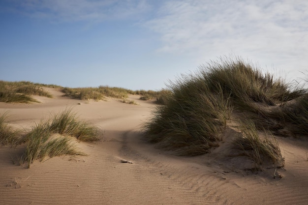 Schilderachtig uitzicht op het strand tegen de lucht