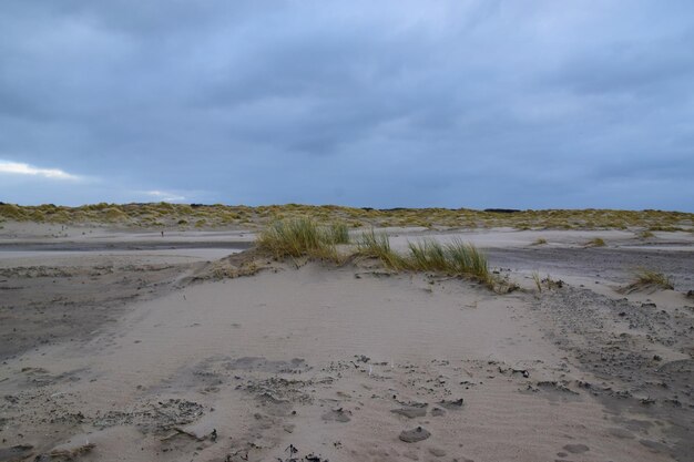 Foto schilderachtig uitzicht op het strand tegen de lucht