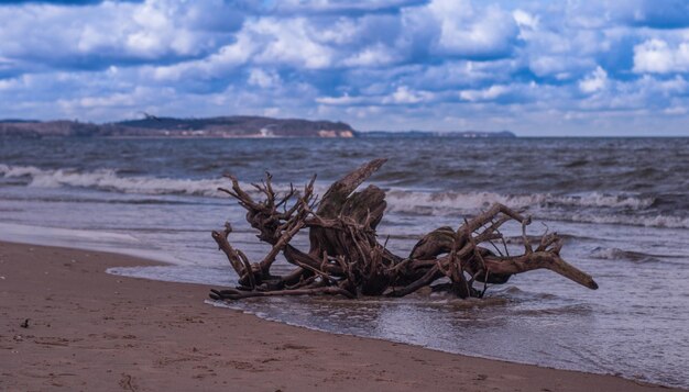 Foto schilderachtig uitzicht op het strand tegen de lucht