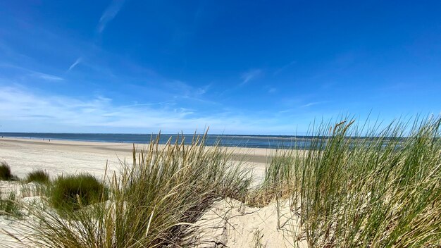 Schilderachtig uitzicht op het strand tegen de lucht