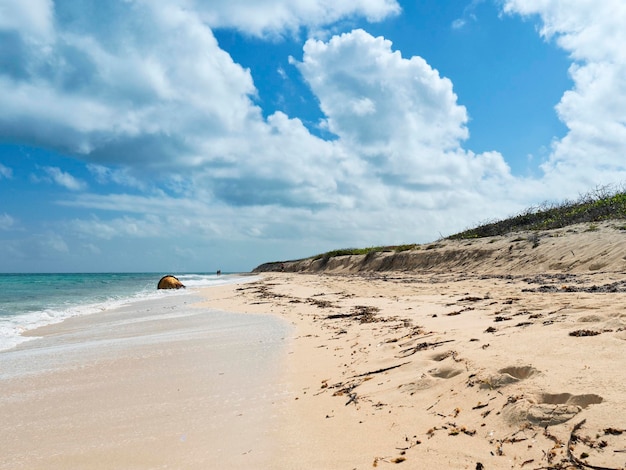 Schilderachtig uitzicht op het strand tegen de lucht